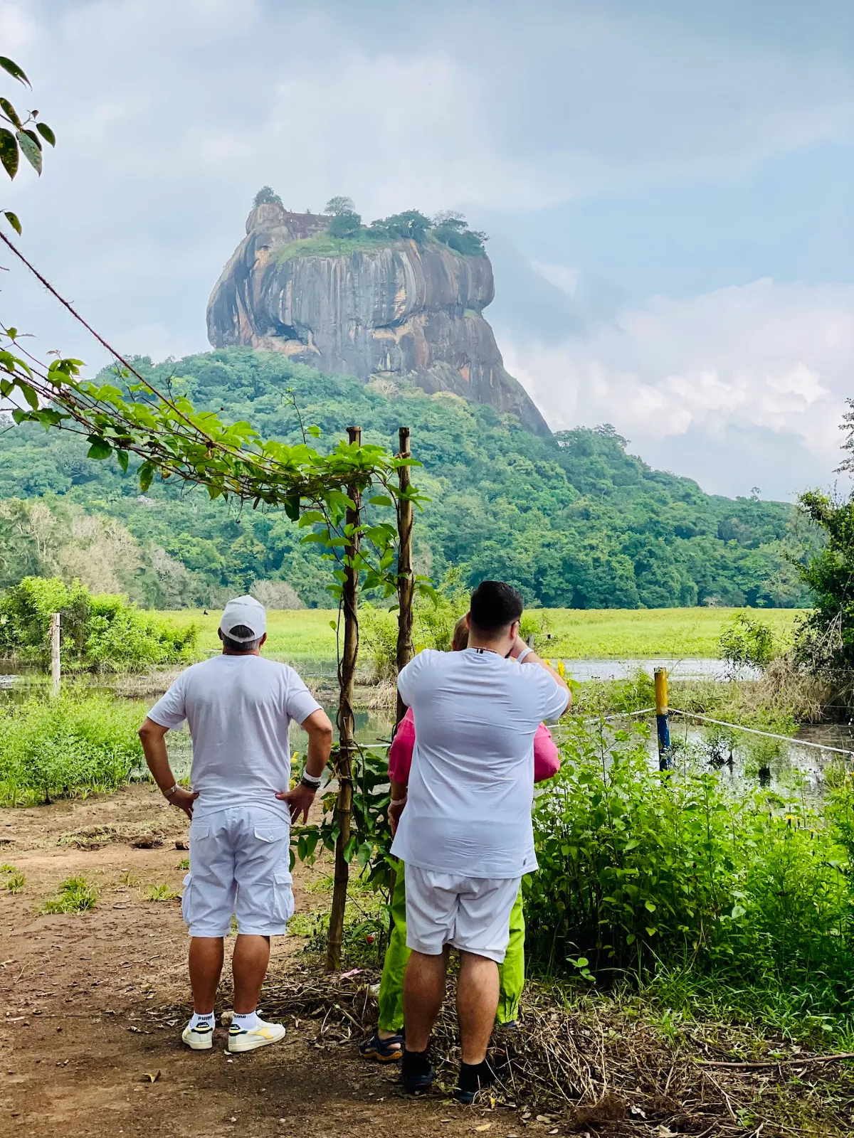 Two travellers looking out across green fields towards Sigiriya rock