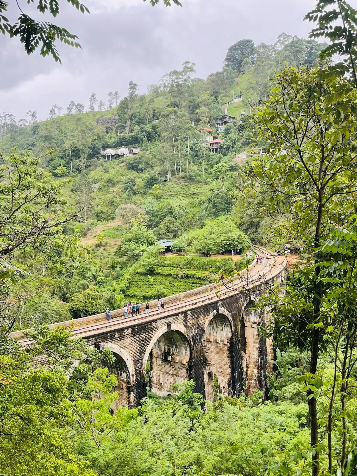 The stone Nine Arch Bridge curving through green hills and jungle near Ella